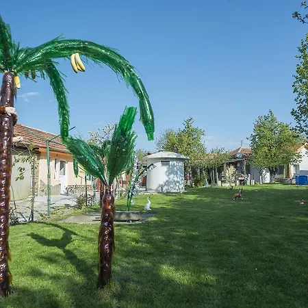 Palms
