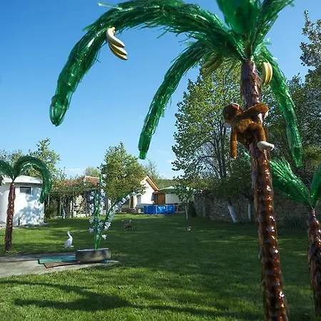 Palms Guest house *